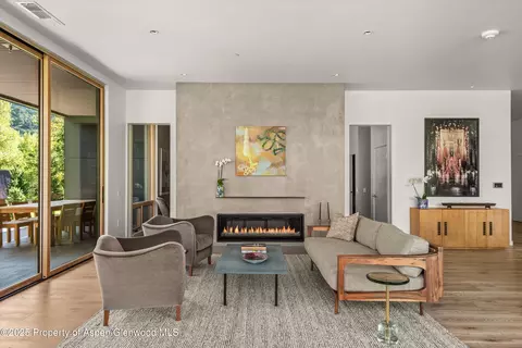 103 Willow Road 201 Basalt Co 81621 Rd #201, Basalt, CO 81621