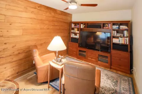 Other - 389 Elk Mountain Drive Redstone Co 81623 Dr, Redstone, CO 81623 photo 8 of 17