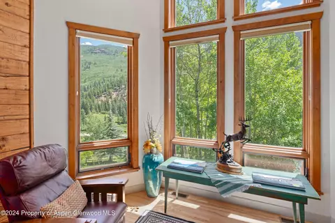Other - 389 Elk Mountain Drive Redstone Co 81623 Dr, Redstone, CO 81623 photo 6 of 17