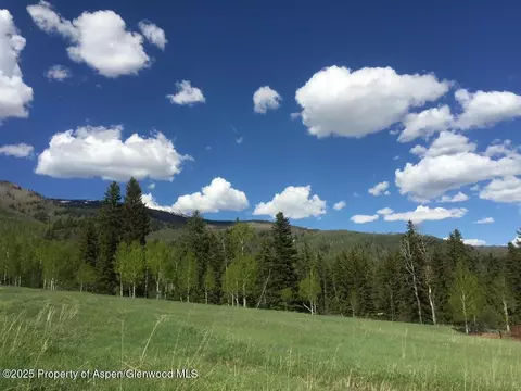197 Wild Strawberry Lane Lot 24 Basalt Co 81621 Ln #LOT 24, Basalt, CO 81621 photo 10