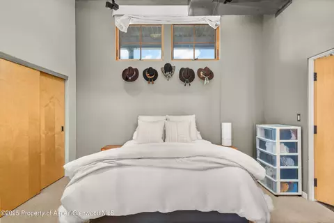 231 Robinson Street Apt 338 Basalt Co 81621 St # 338, Basalt, CO 81621 photo 12