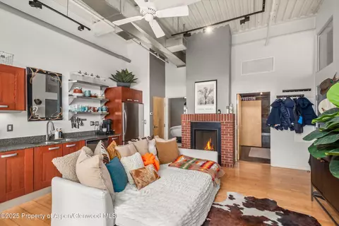 231 Robinson Street Apt 338 Basalt Co 81621 St # 338, Basalt, CO 81621 photo 10