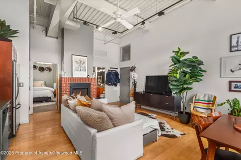 231 Robinson Street Apt 338 Basalt Co 81621 St # 338, Basalt, CO 81621 photo 9