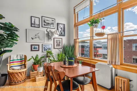 231 Robinson Street Apt 338 Basalt Co 81621 St # 338, Basalt, CO 81621 photo 6