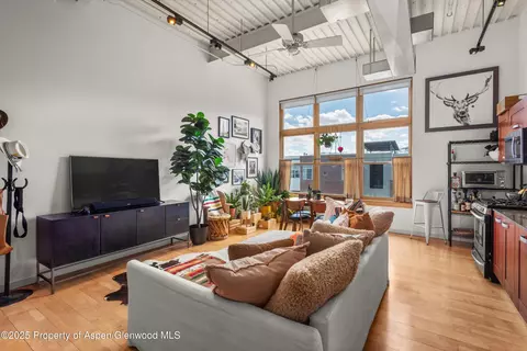 231 Robinson Street Apt 338 Basalt Co 81621 St # 338, Basalt, CO 81621 photo 7
