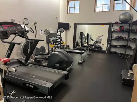 231 Robinson Street Apt 338 Basalt Co 81621 St # 338, Basalt, CO 81621 photo 15