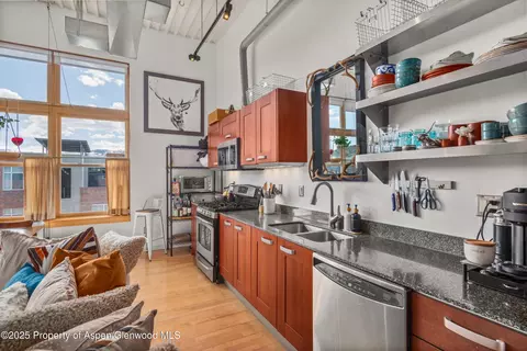 231 Robinson Street Apt 338 Basalt Co 81621 St # 338, Basalt, CO 81621 photo 8
