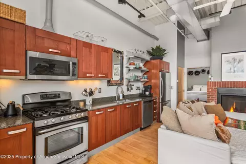 231 Robinson Street Apt 338 Basalt Co 81621 St # 338, Basalt, CO 81621 photo 2