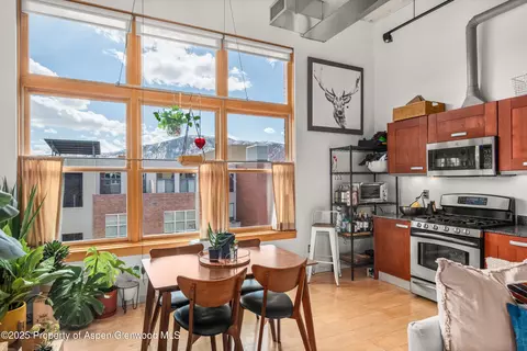 231 Robinson Street Apt 338 Basalt Co 81621 St # 338, Basalt, CO 81621 photo 11
