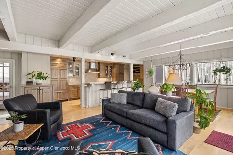 231 Maple Ridge Lane Snowmass Village Co 81615 Ln, Snowmass Village, CO 81615
