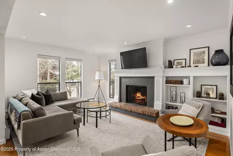 980 E Hyman Avenue 3 Aspen Co 81611 Ave #3, Aspen, CO 81611