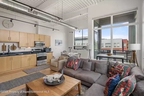 Living - 361 Robinson Street 308 Basalt Co 81621 St #308, Basalt, CO 81621 photo 2 of 6
