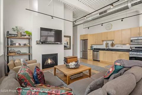 Living - 361 Robinson Street 308 Basalt Co 81621 St #308, Basalt, CO 81621 photo 3 of 6