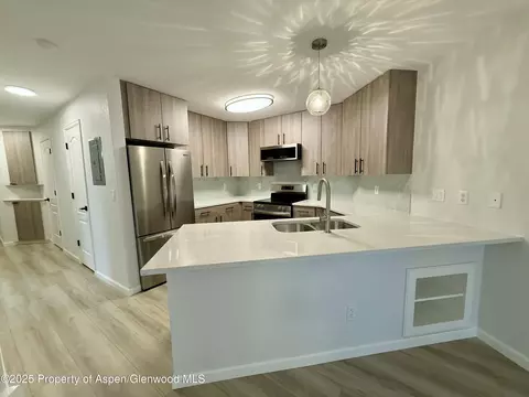 3102 Elk Lane Lane Basalt Co 81621 Ln, Basalt, CO 81621