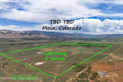 tbd Tbd 40 Acres Mesa Co 81643, Mesa, CO 81643 photo 3