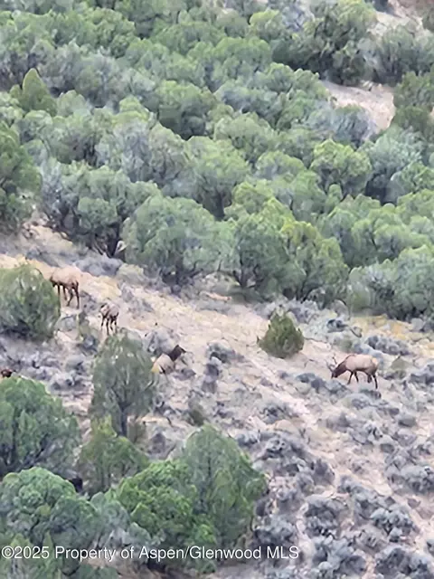 4472 V 510 Road De Beque Co 81630 Rd, De Beque, CO 81630 photo 24