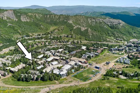 600 Carriage Way L-12 Snowmass Village Co 81615 Way #L-12, Snowmass Village, CO 81615