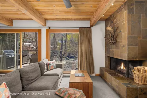 1039 E Cooper Avenue 21 Aspen Co 81611 Ave #21, Aspen, CO 81611