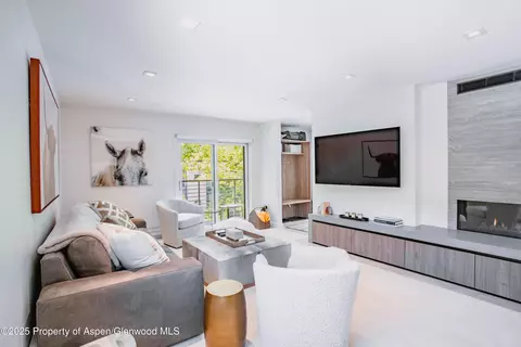 210 E Cooper Avenue 3g Aspen Co 81611 Ave #3G, Aspen, CO 81611