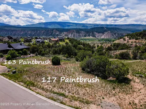 117 Paintbrush Way Glenwood Springs Co 81601 Way, Glenwood Springs, CO 81601