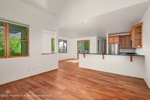 335 Summerset Lane Unit A Basalt Co 81621 Ln UNIT A, Basalt, CO 81621 photo 10