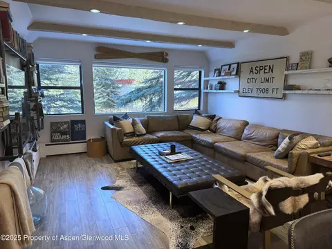 927 Vine Street Aspen Co 81611 St, Aspen, CO 81611