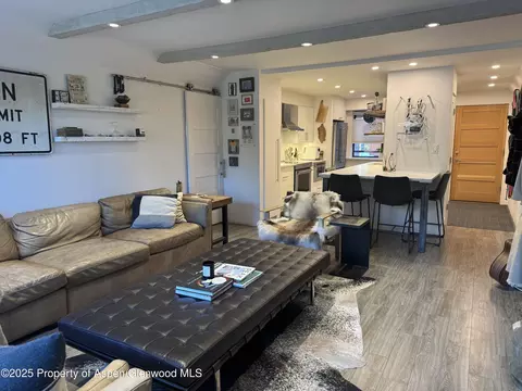 927 Vine Street Aspen Co 81611 St, Aspen, CO 81611