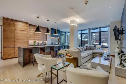 45 Wood Road 301 Snowmass Village Co 81615 Rd #301, Snowmass Village, CO 81615