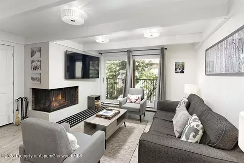 901 E Hyman Avenue Apt 9 Aspen Co 81611 Ave # 9, Aspen, CO 81611