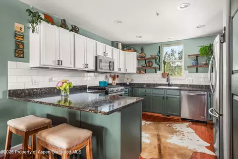 106 Lakeside Court Basalt Co 81621 Ct, Basalt, CO 81621 photo 10