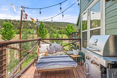106 Lakeside Court Basalt Co 81621 Ct, Basalt, CO 81621 photo 30