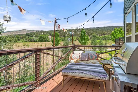 106 Lakeside Court Basalt Co 81621 Ct, Basalt, CO 81621 photo 29