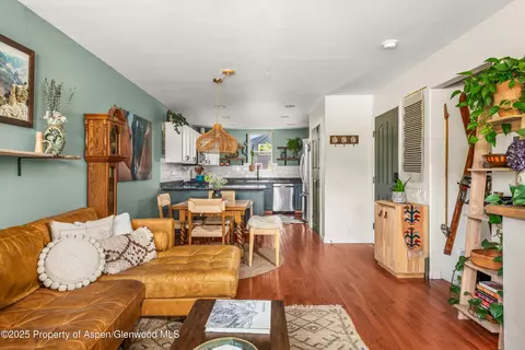 106 Lakeside Court Basalt Co 81621 Ct, Basalt, CO 81621 photo 6