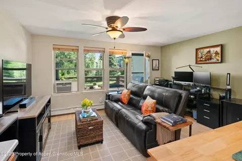 512 Lakeside Drive Basalt Co 81621 Dr, Basalt, CO 81621 photo 7