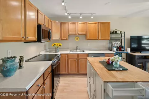 512 Lakeside Drive Basalt Co 81621 Dr, Basalt, CO 81621 photo 3