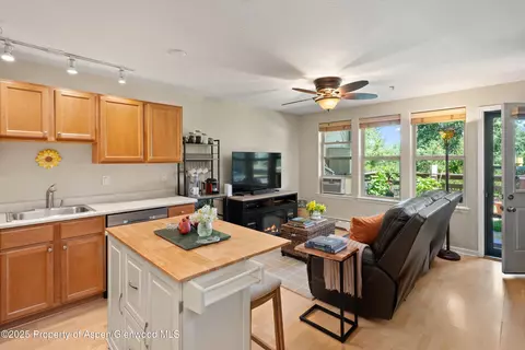 512 Lakeside Drive Basalt Co 81621 Dr, Basalt, CO 81621 photo 2