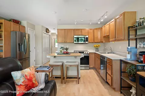 512 Lakeside Drive Basalt Co 81621 Dr, Basalt, CO 81621 photo 5