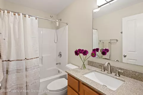 512 Lakeside Drive Basalt Co 81621 Dr, Basalt, CO 81621 photo 11