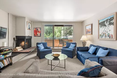 1024 E Hopkins Avenue Apt 16 Aspen Co 81611 Ave # 16, Aspen, CO 81611