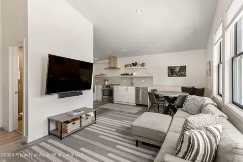 220 W Main Street 210p1b6 Aspen Co 81611 St #210/P1/B6, Aspen, CO 81611