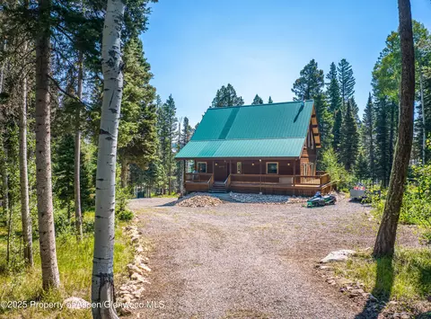 608 Snowshoe Lane Cimarron Co 81220 Ln, Cimarron, CO 81220 photo 30
