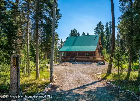 608 Snowshoe Lane Cimarron Co 81220 Ln, Cimarron, CO 81220 photo 1