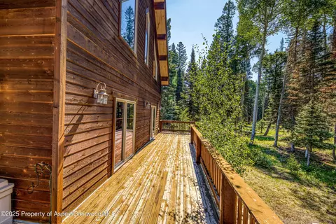 608 Snowshoe Lane Cimarron Co 81220 Ln, Cimarron, CO 81220 photo 28