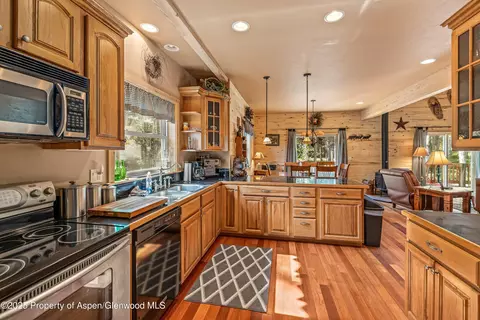 608 Snowshoe Lane Cimarron Co 81220 Ln, Cimarron, CO 81220 photo 9