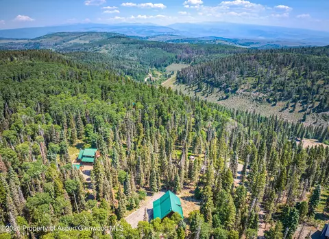 608 Snowshoe Lane Cimarron Co 81220 Ln, Cimarron, CO 81220 photo 43