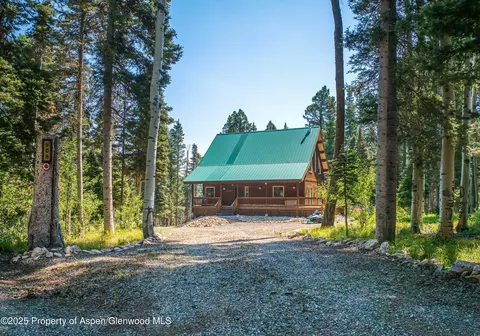 608 Snowshoe Lane Cimarron Co 81220 Ln, Cimarron, CO 81220 photo 39
