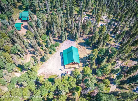 608 Snowshoe Lane Cimarron Co 81220 Ln, Cimarron, CO 81220 photo 42