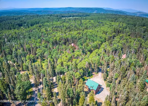 608 Snowshoe Lane Cimarron Co 81220 Ln, Cimarron, CO 81220 photo 44