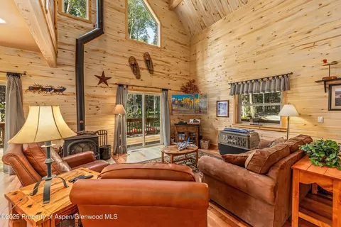 608 Snowshoe Lane Cimarron Co 81220 Ln, Cimarron, CO 81220 photo 2