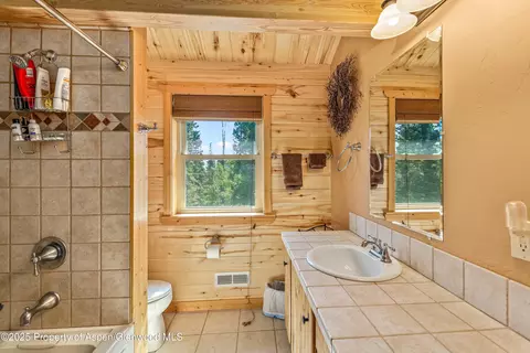 608 Snowshoe Lane Cimarron Co 81220 Ln, Cimarron, CO 81220 photo 19